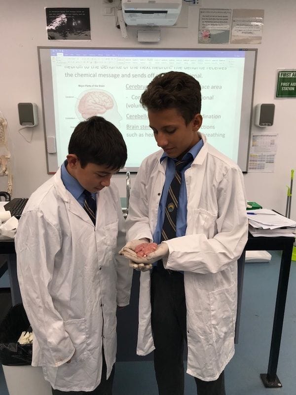 High School Science High School Science